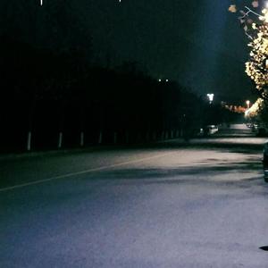 成人免费毛片❌❌❌!
